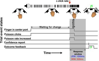 Timescales of Evidence Evaluation for Decision Making and Associated Confidence Judgments Are Adapted to Task Demands